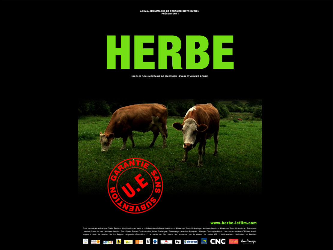 Herbe - © Amélimages