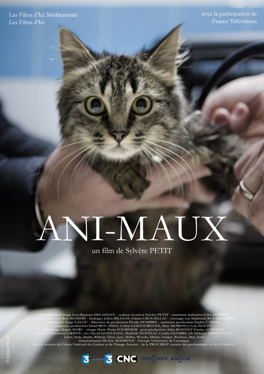 Ani-Maux - © Les Films d'Ici et Sylvère Petit