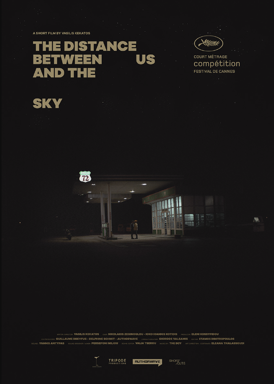 Affiche du film La distance entre le ciel et nous